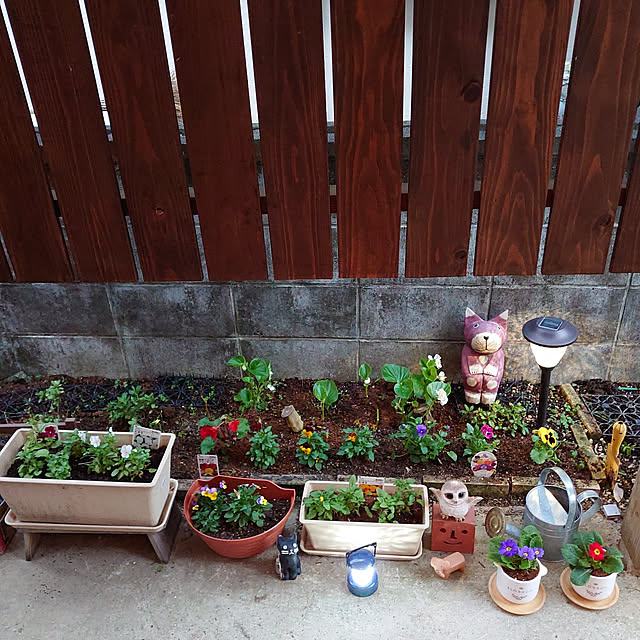 fukuさんの実例写真