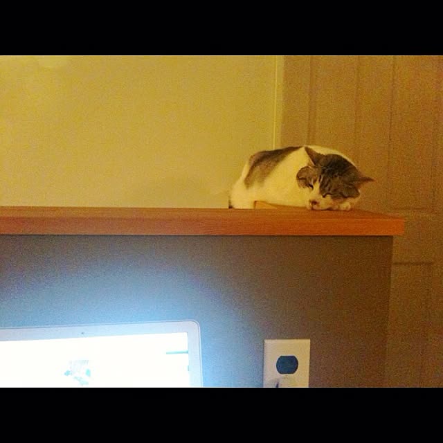 Tomo3さんの実例写真