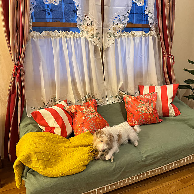 uzuraさんの実例写真