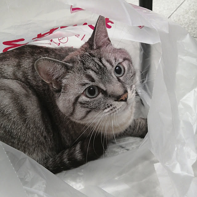 Manaさんの実例写真