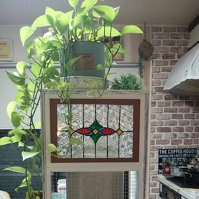 taketakeさんの実例写真
