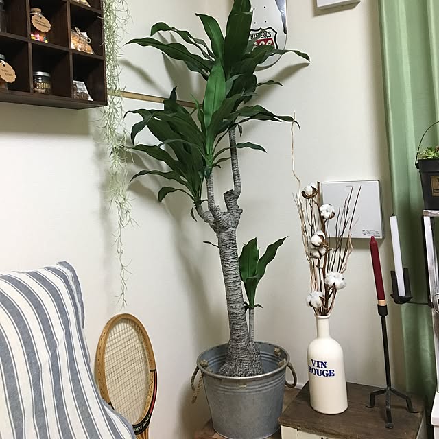 tetra163さんの実例写真