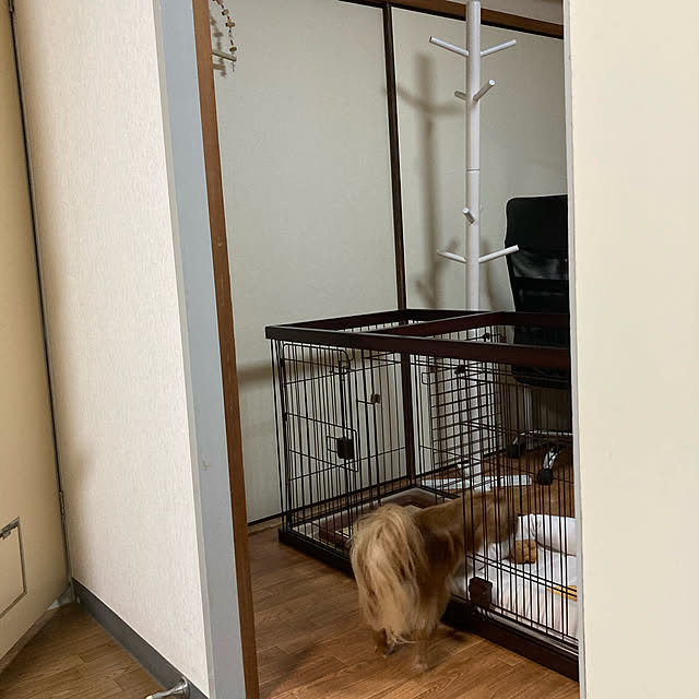 toratanさんの実例写真