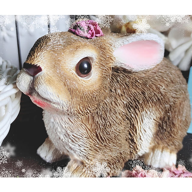 kiraさんの実例写真