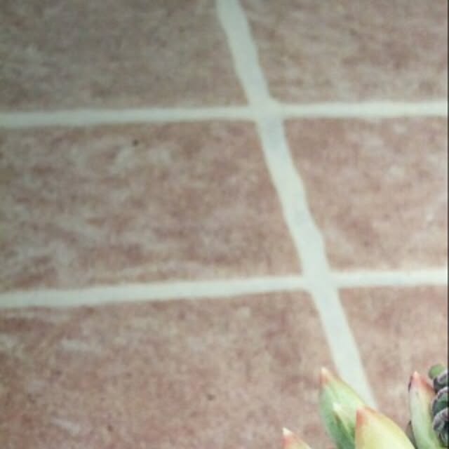 部屋全体のインテリア実例 - 2015-06-30 06:42:27