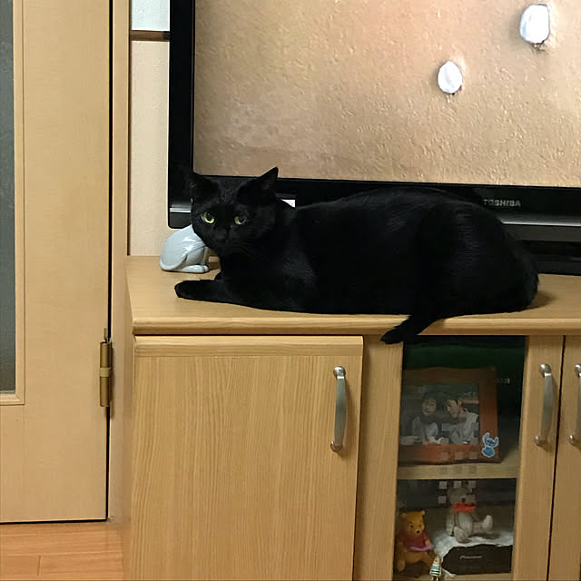 Machikoさんの実例写真