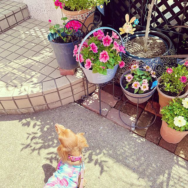 Maiさんの部屋