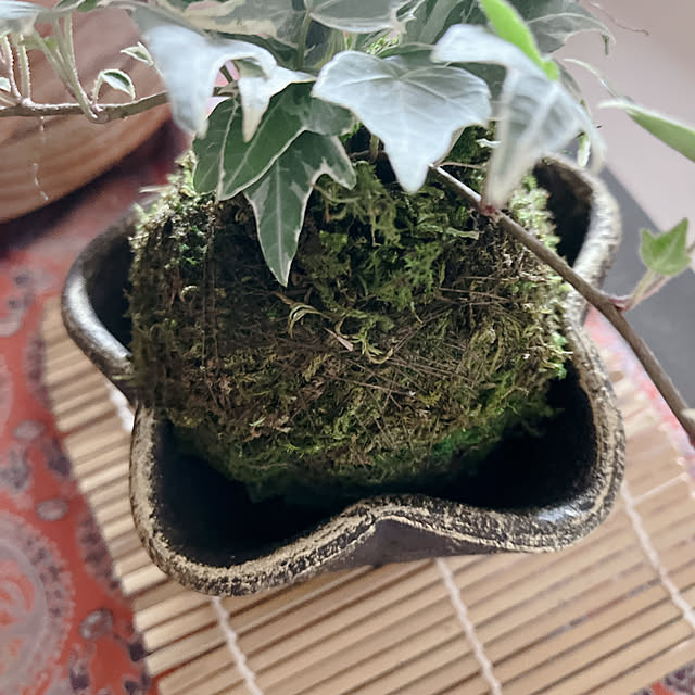 eshinobumさんの部屋