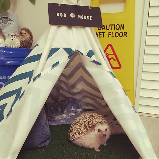 faluさんの実例写真