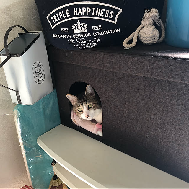 arayanさんの実例写真