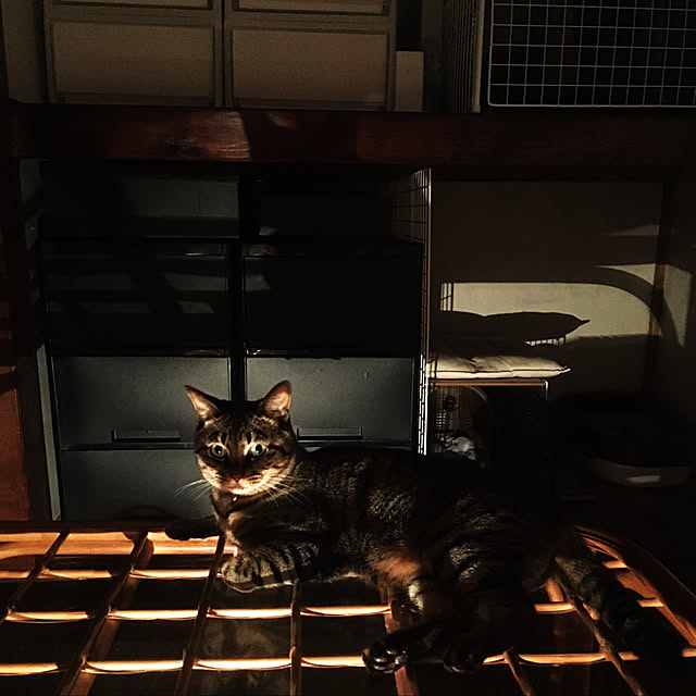KINGさんの実例写真
