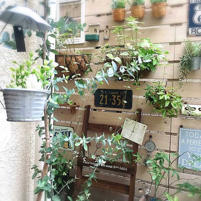 vol.470写真