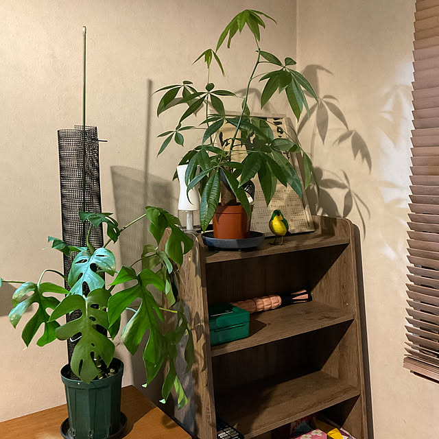 snow.miさんの実例写真