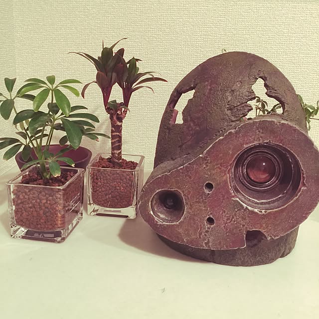tamtamさんの実例写真