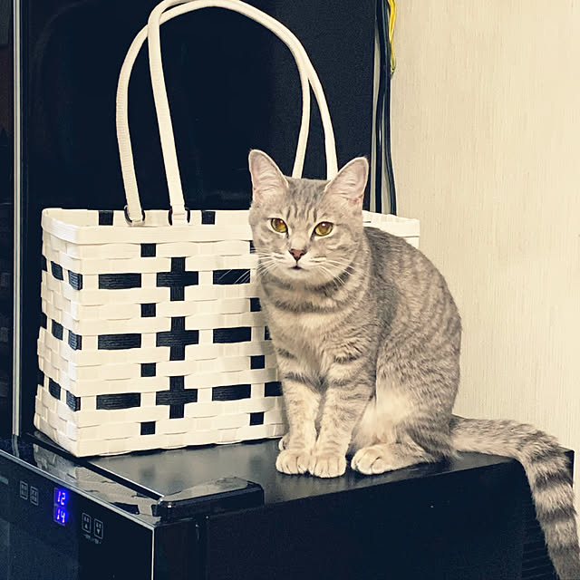 galaxyrurikoさんの実例写真