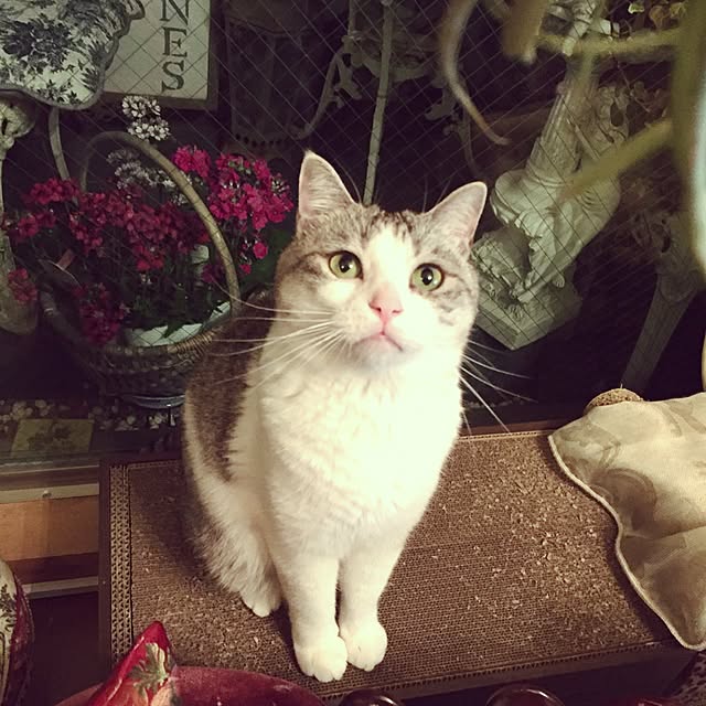 emmyyさんの実例写真