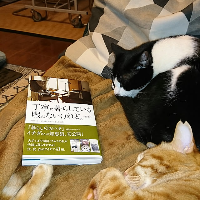 okyosan101さんの実例写真