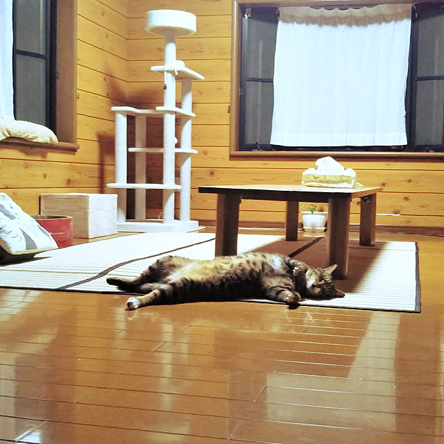 sho.27.yuki.11さんの実例写真