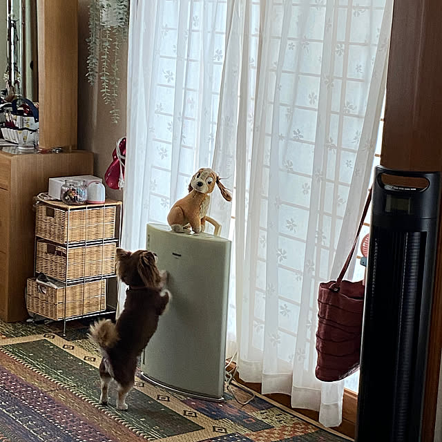 chIoeさんの部屋