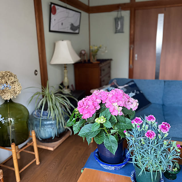 buchiさんの部屋