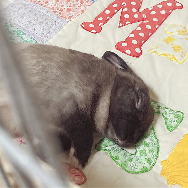 fumofumoさんの実例写真