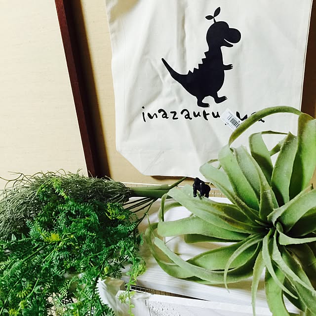 hashimaさんの実例写真
