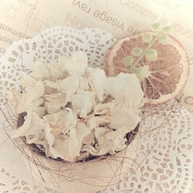 takesanaharuさんの実例写真