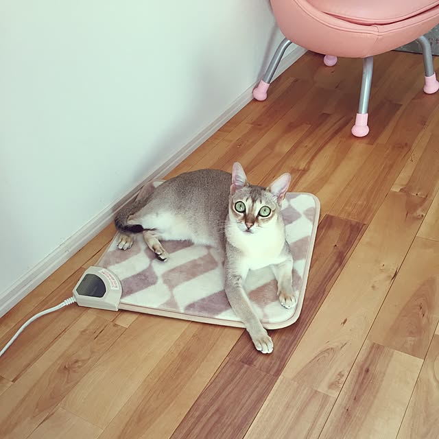 NOHANAさんの実例写真