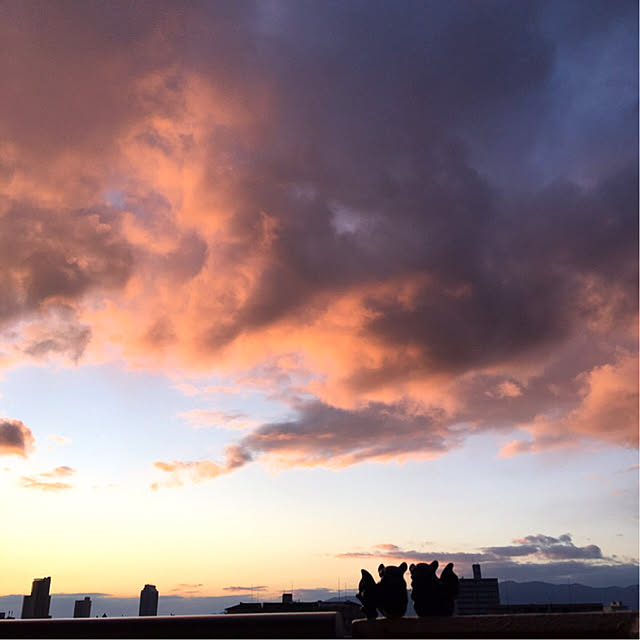 simple_blowbackさんの実例写真