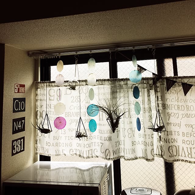実例写真