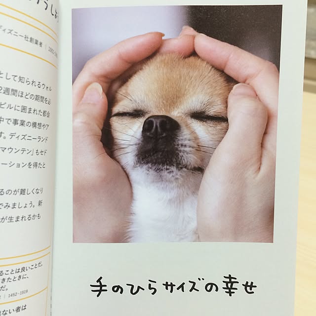orcaさんの実例写真