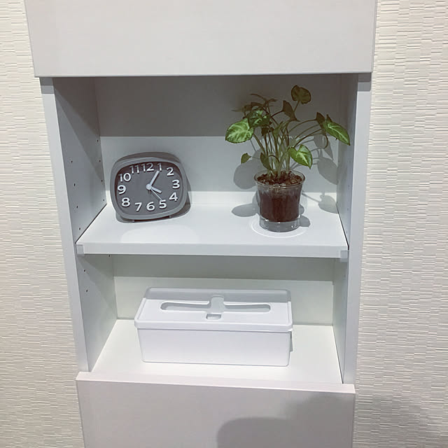 AoMioさんの実例写真