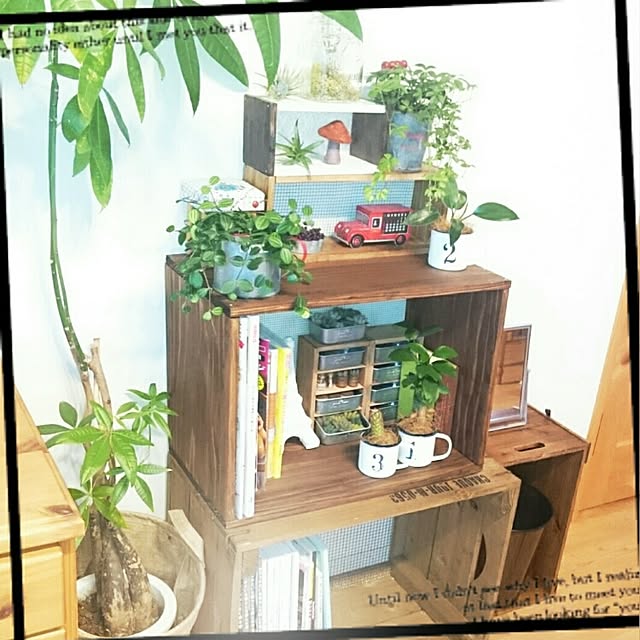 hikiya-.-さんの実例写真