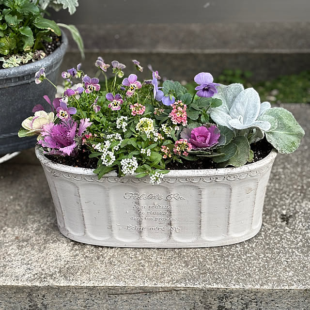 maayaさんの部屋