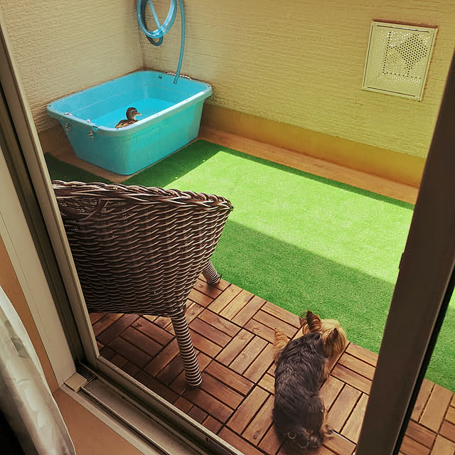 akiさんの実例写真