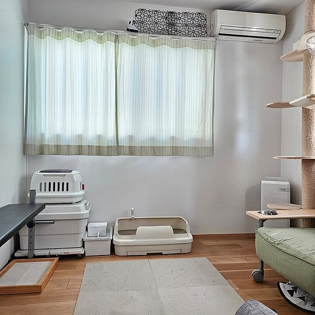 koyurizuさんの部屋