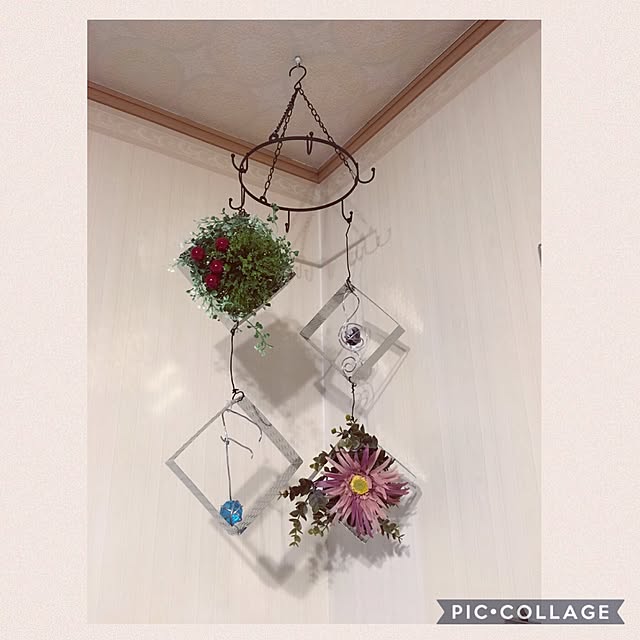 Eddieさんの実例写真