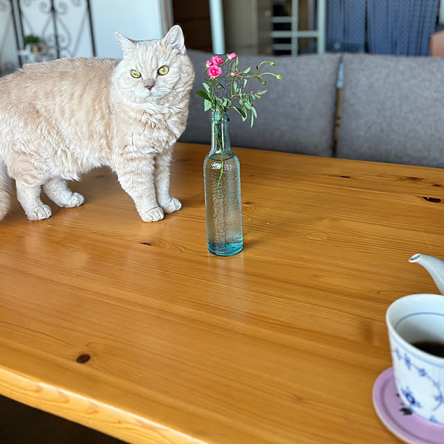 naokoさんの部屋