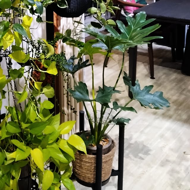runaさんの部屋