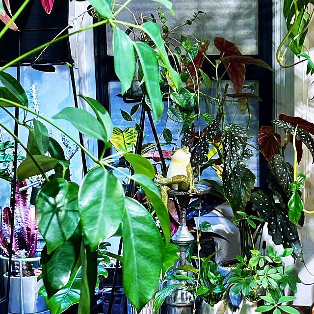 DAYONEさんの部屋