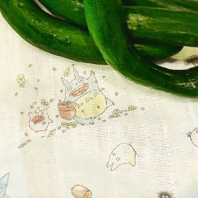 katakoさんの部屋