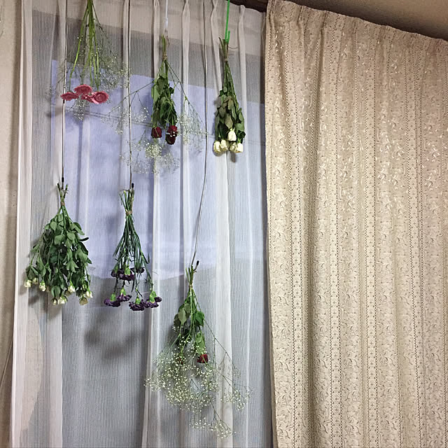 Kumikoさんの実例写真