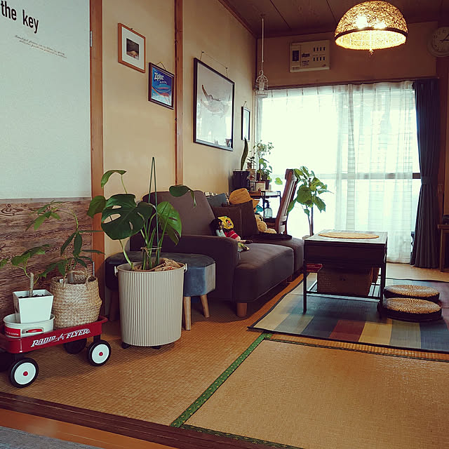 fukuさんの実例写真