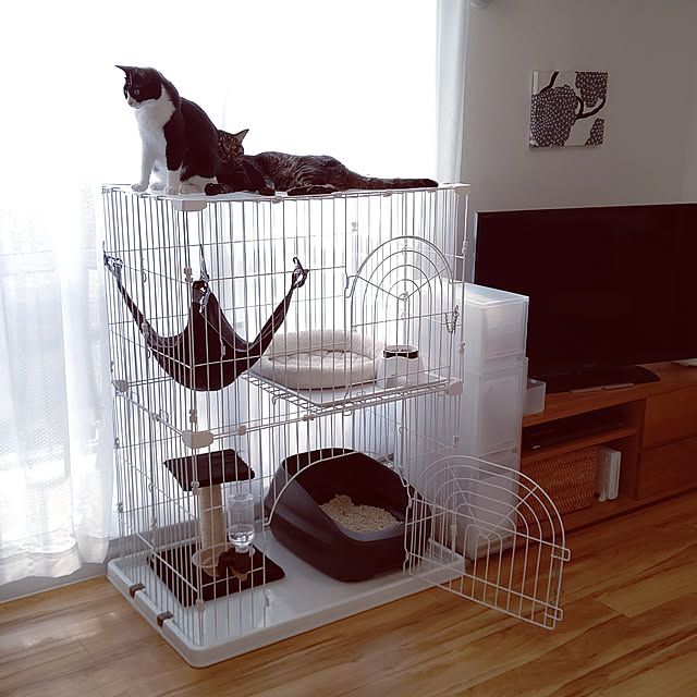 hihaさんの実例写真