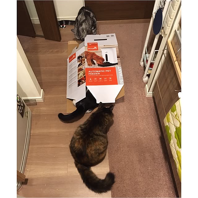 mikomaruさんの実例写真
