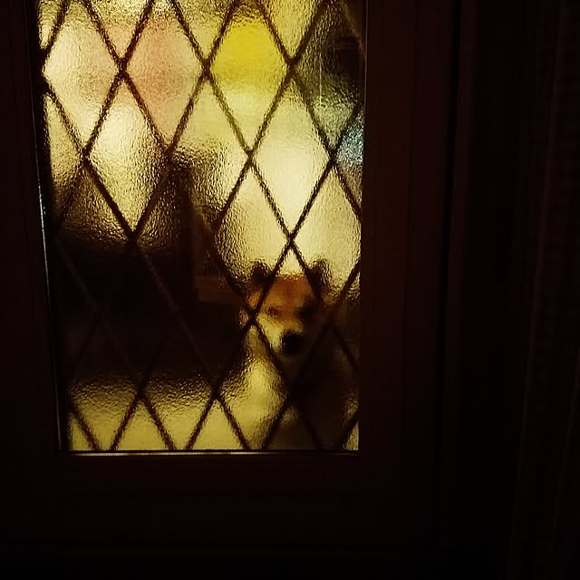 kosaさんの実例写真