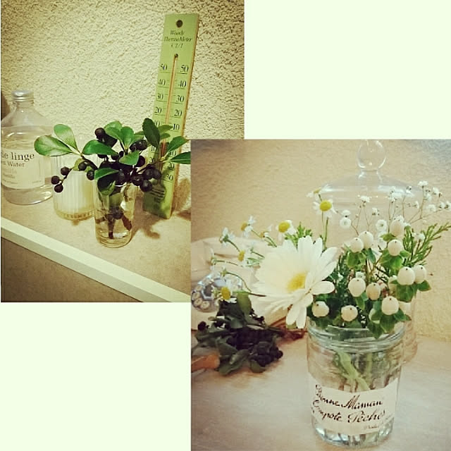 kanaさんの実例写真