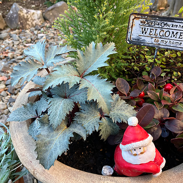 ikubooさんの実例写真