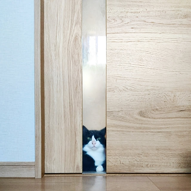 kirakirahikaruさんの実例写真