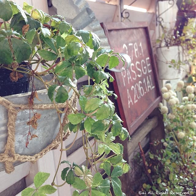 ai.さんの実例写真